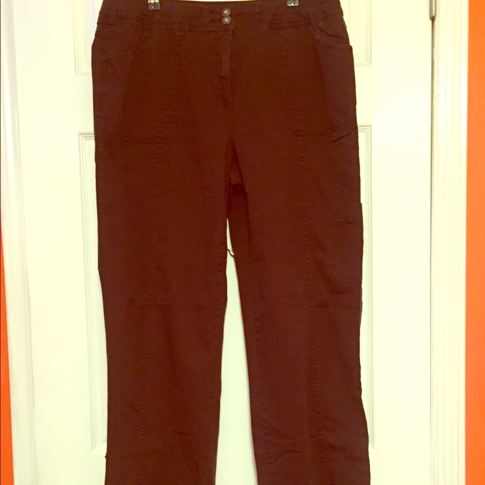 Karen Scott brown pants